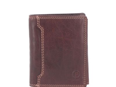 Pánská kožená peněženka Richard